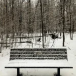 Snowy winter park bench in downtown Kitchener