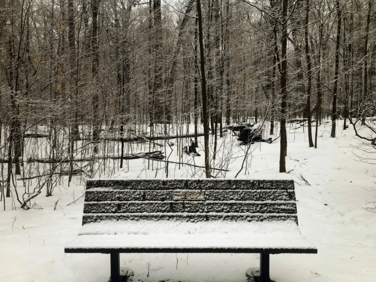 Snowy winter park bench in downtown Kitchener